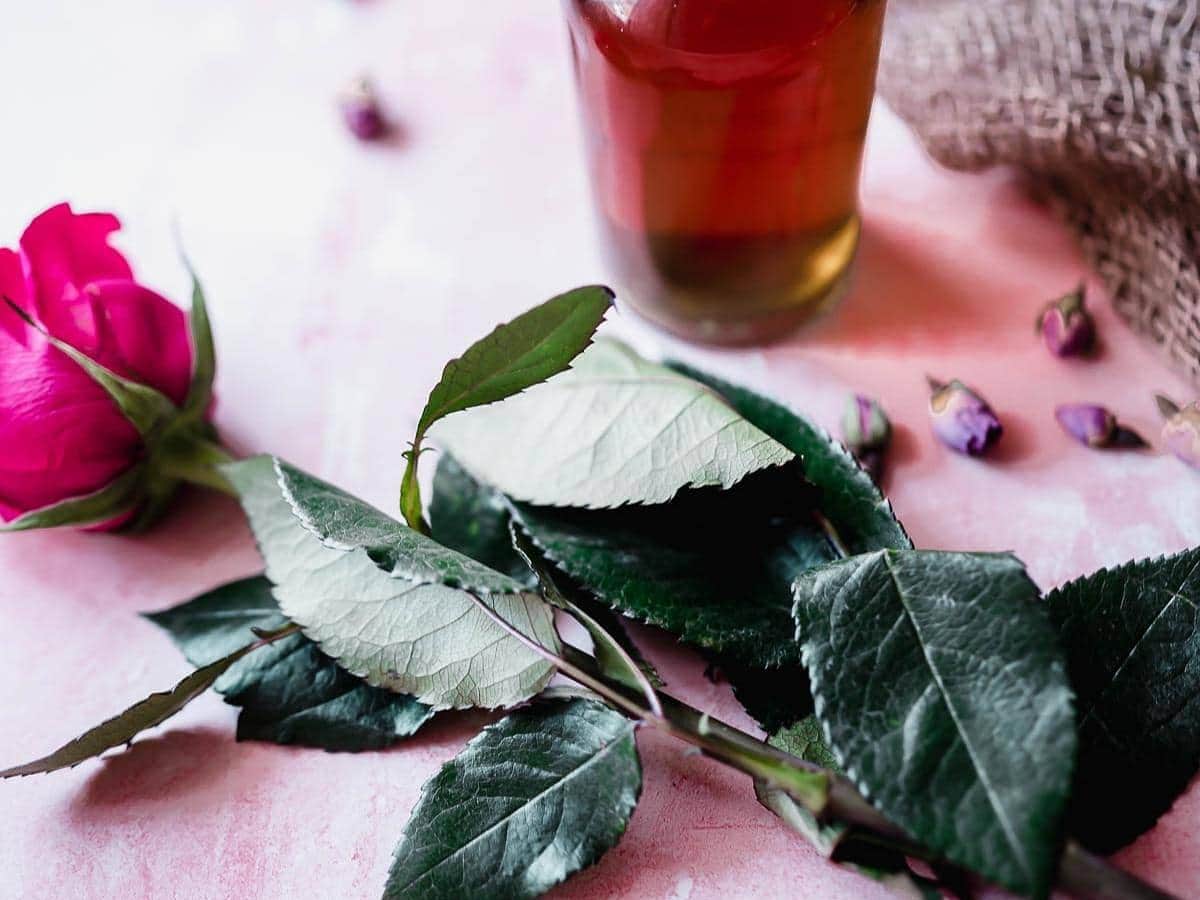How to Make Rose Water at Home 2 Ways - Easy DIY Rosewater Recipe