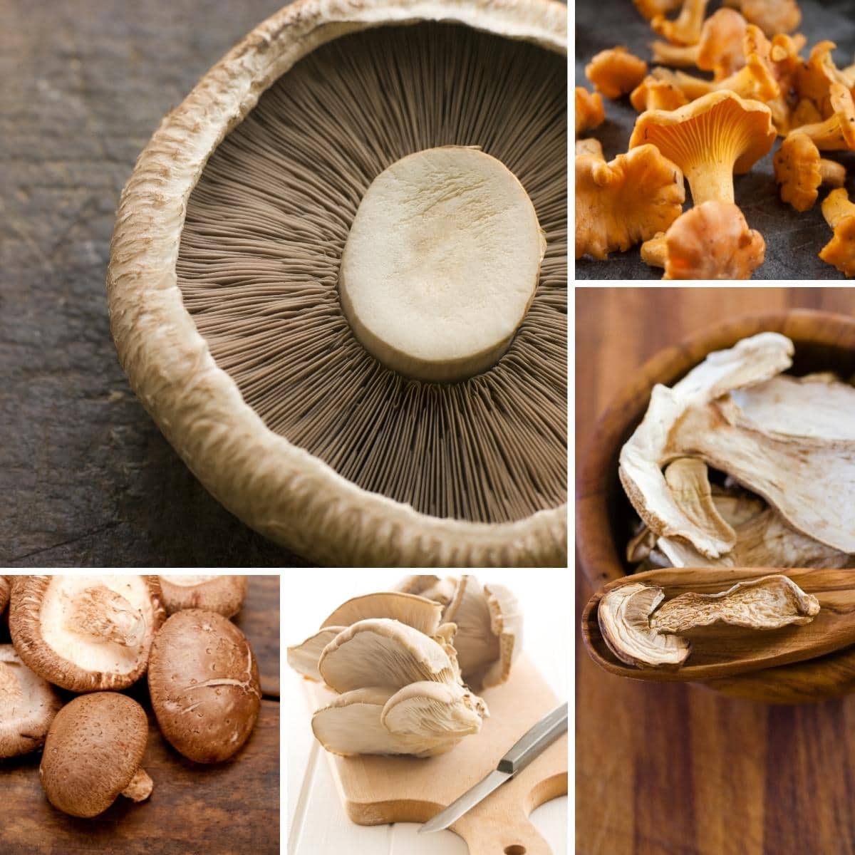 5 Best Mushrooms for Risotto - MOON and spoon and yum