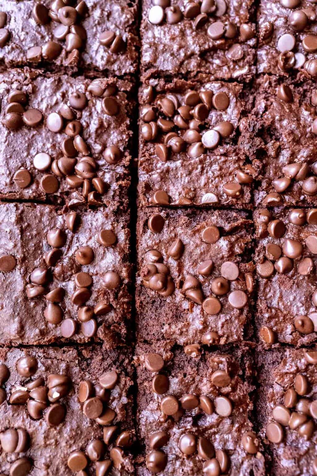Close-up of chocolate brownies cut into squares, topped with chocolate chips—these rich black bean brownies are a delicious twist on a classic treat.