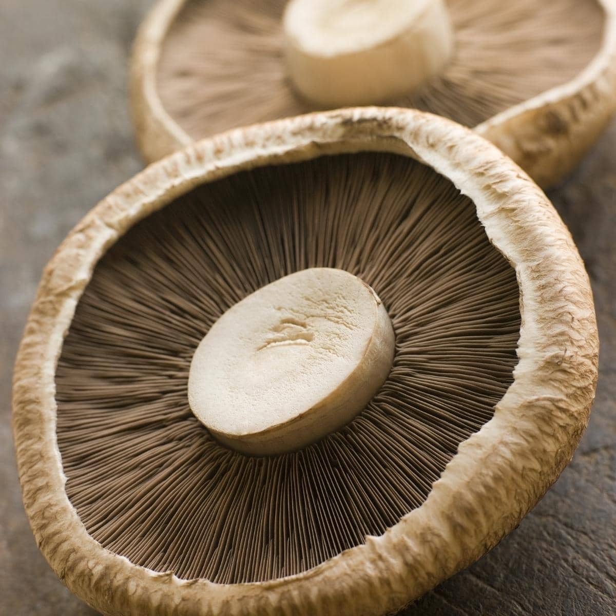 portobello mushrooms.
