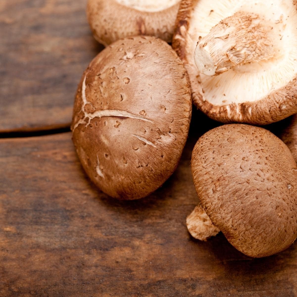 shiitake mushrooms.