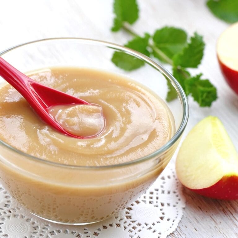 15 Best Applesauce Substitutes MOON and spoon and yum