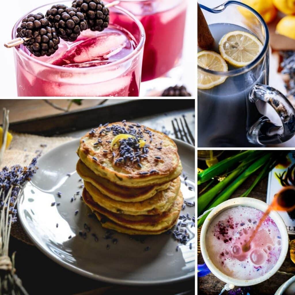19 Best Lavender Recipes MOON and spoon and yum