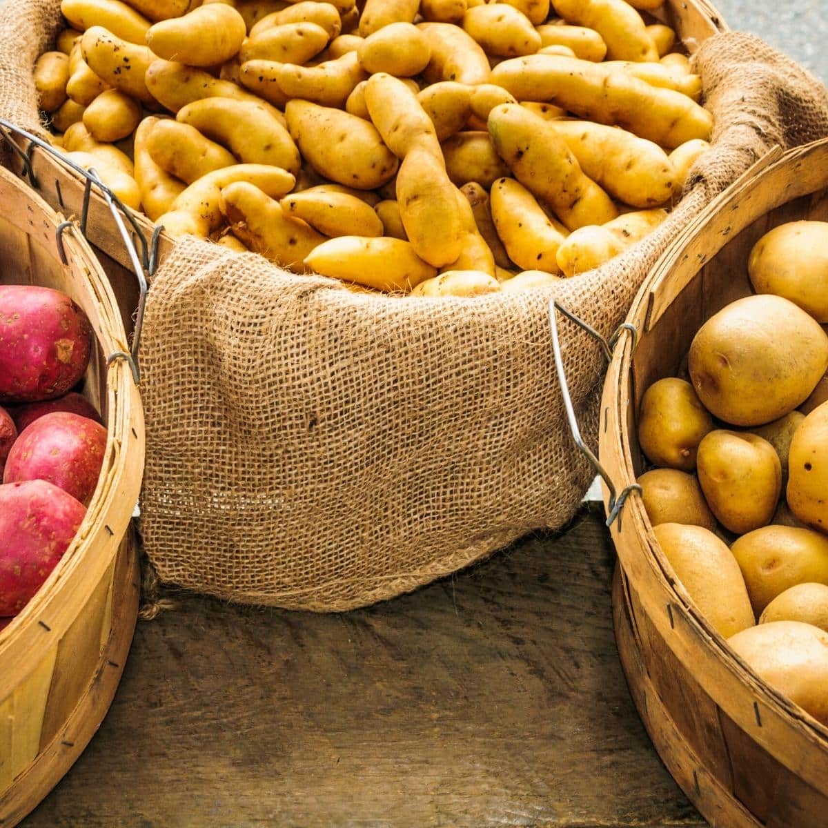 Three baskets filled with a variety of potatoes.