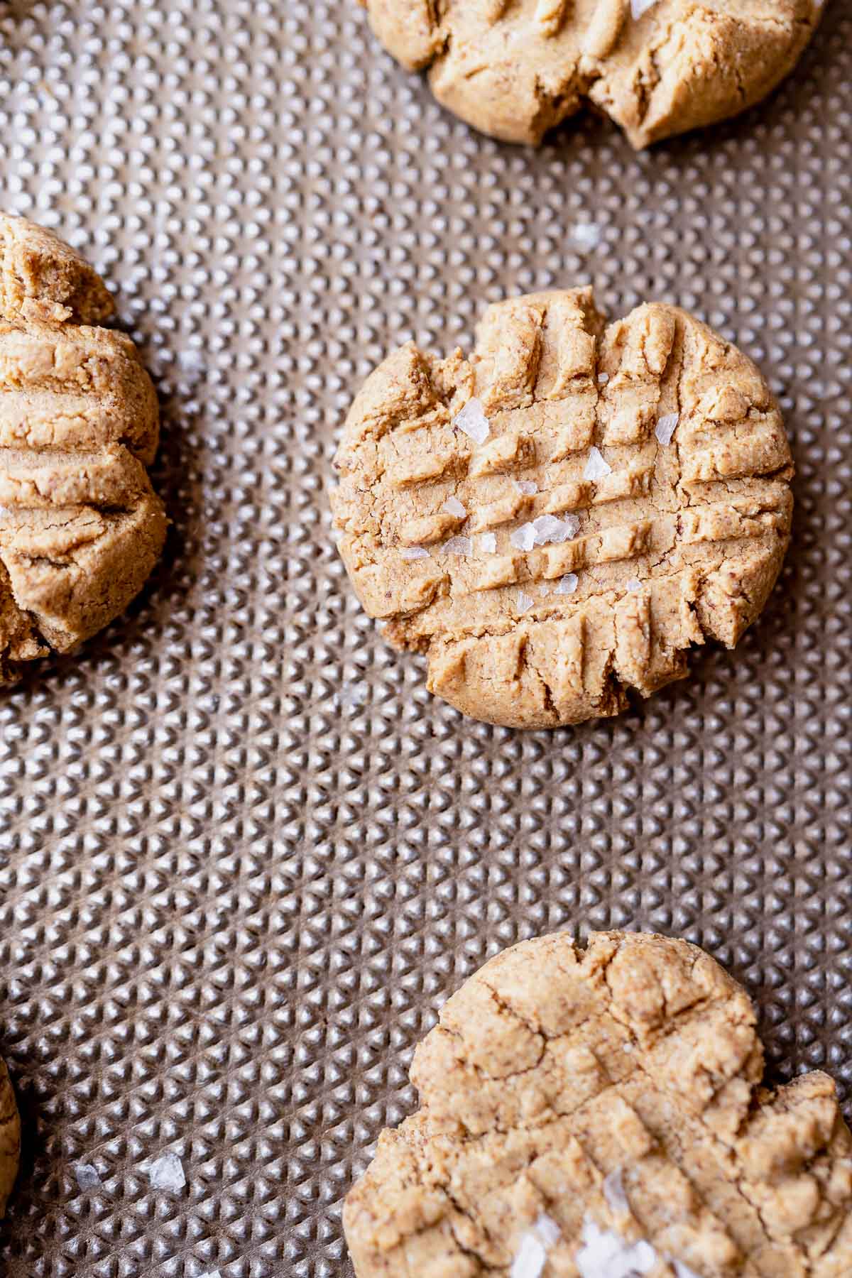 Close shot of freshly baked peanut butter cookies resting on a baking sheet.