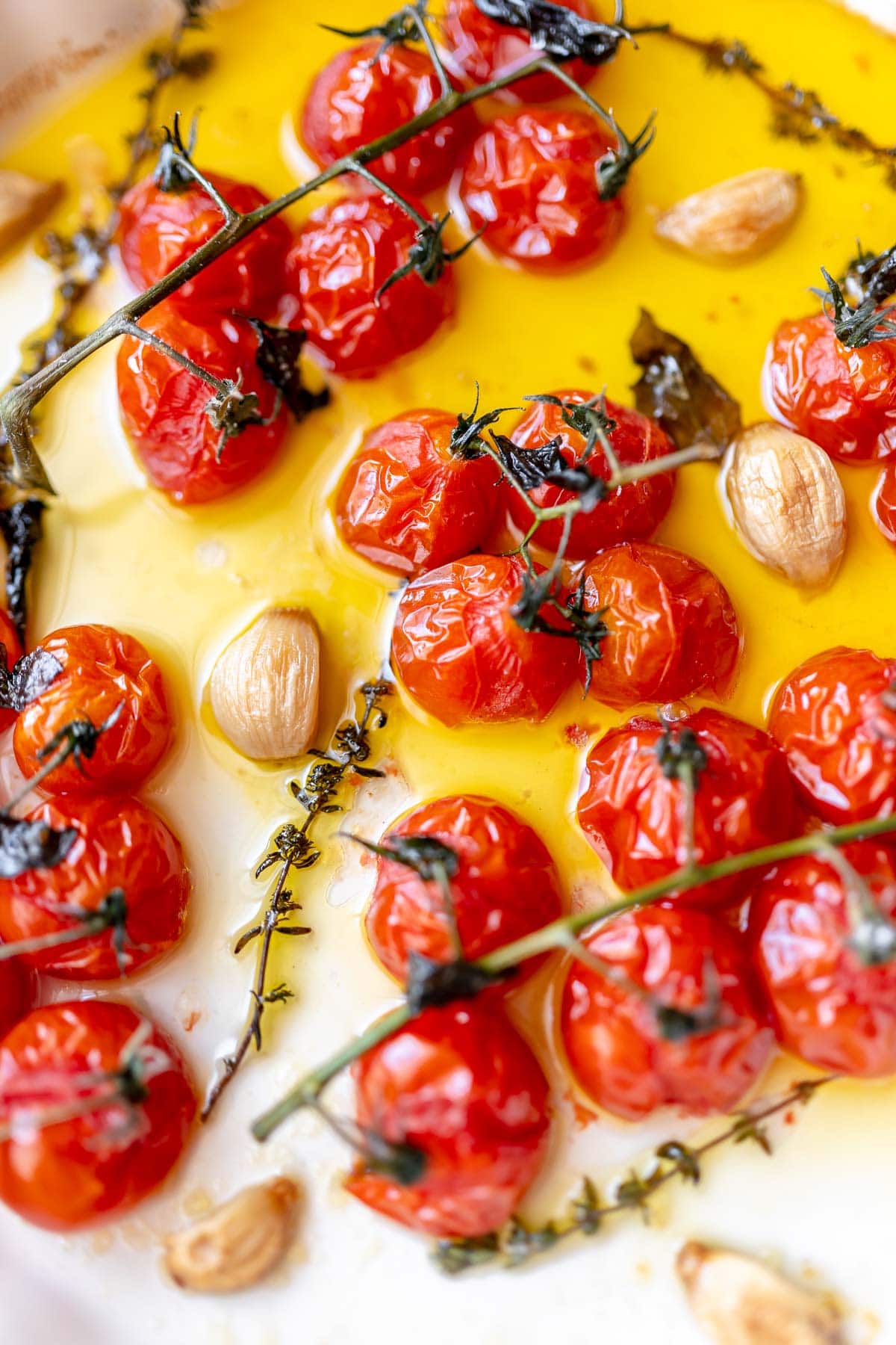 Soft, squishy red tomatoes on the vine resting in a dish filled with olive oil and golden garlic cloves.