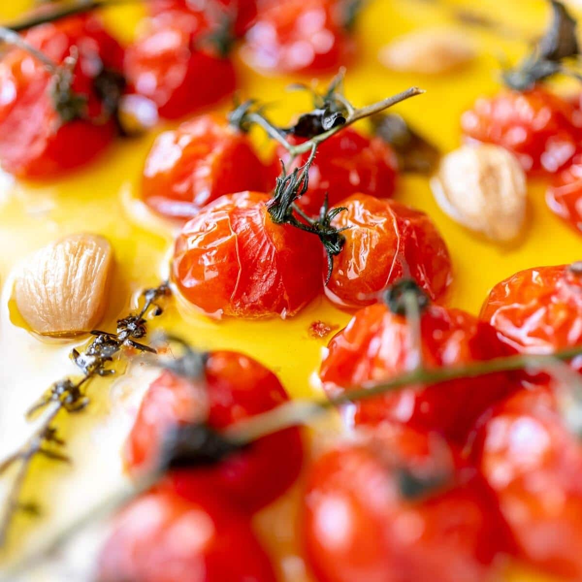 Soft tomatoes on the vine resting in olive oil.