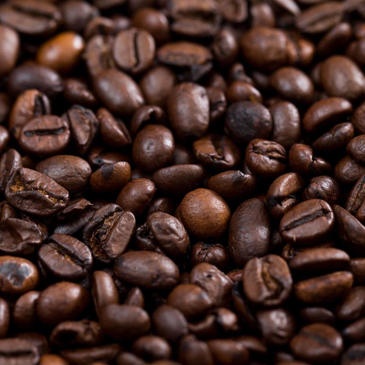 Close up shot of whole coffee beans.
