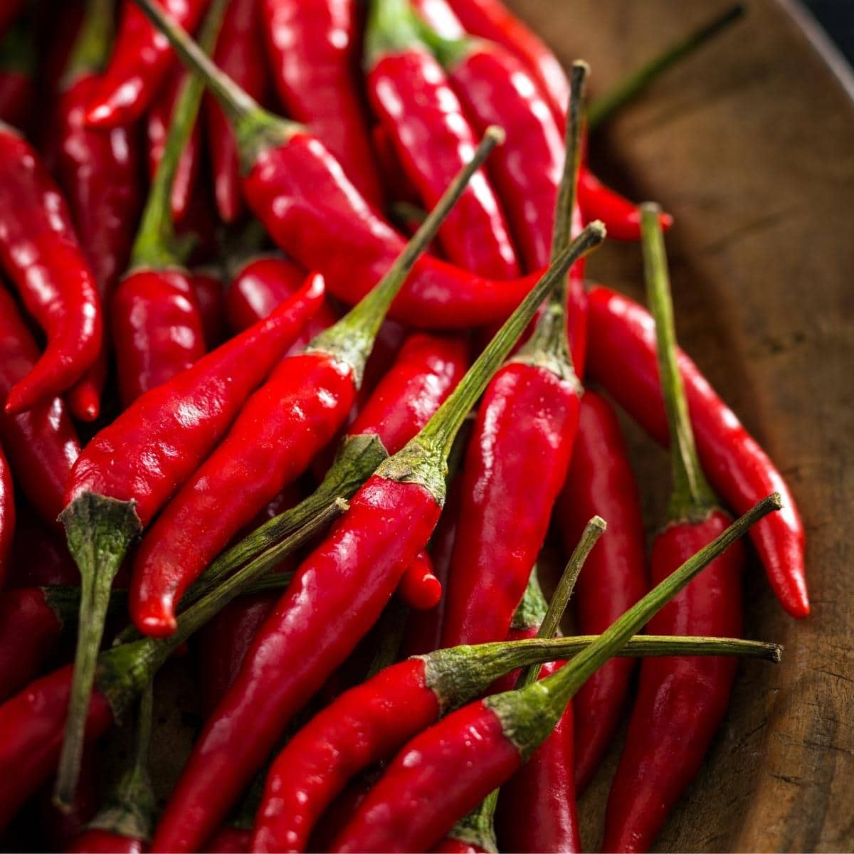 Fresh bright red chiles.