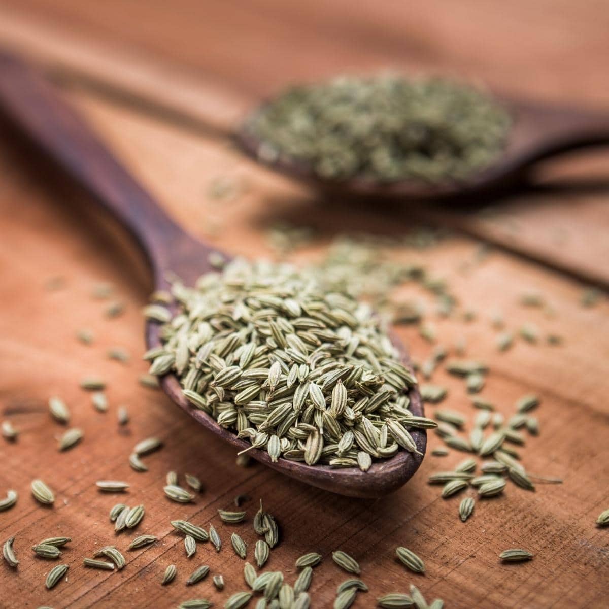 Fennel seeds in a small wooden spoon.