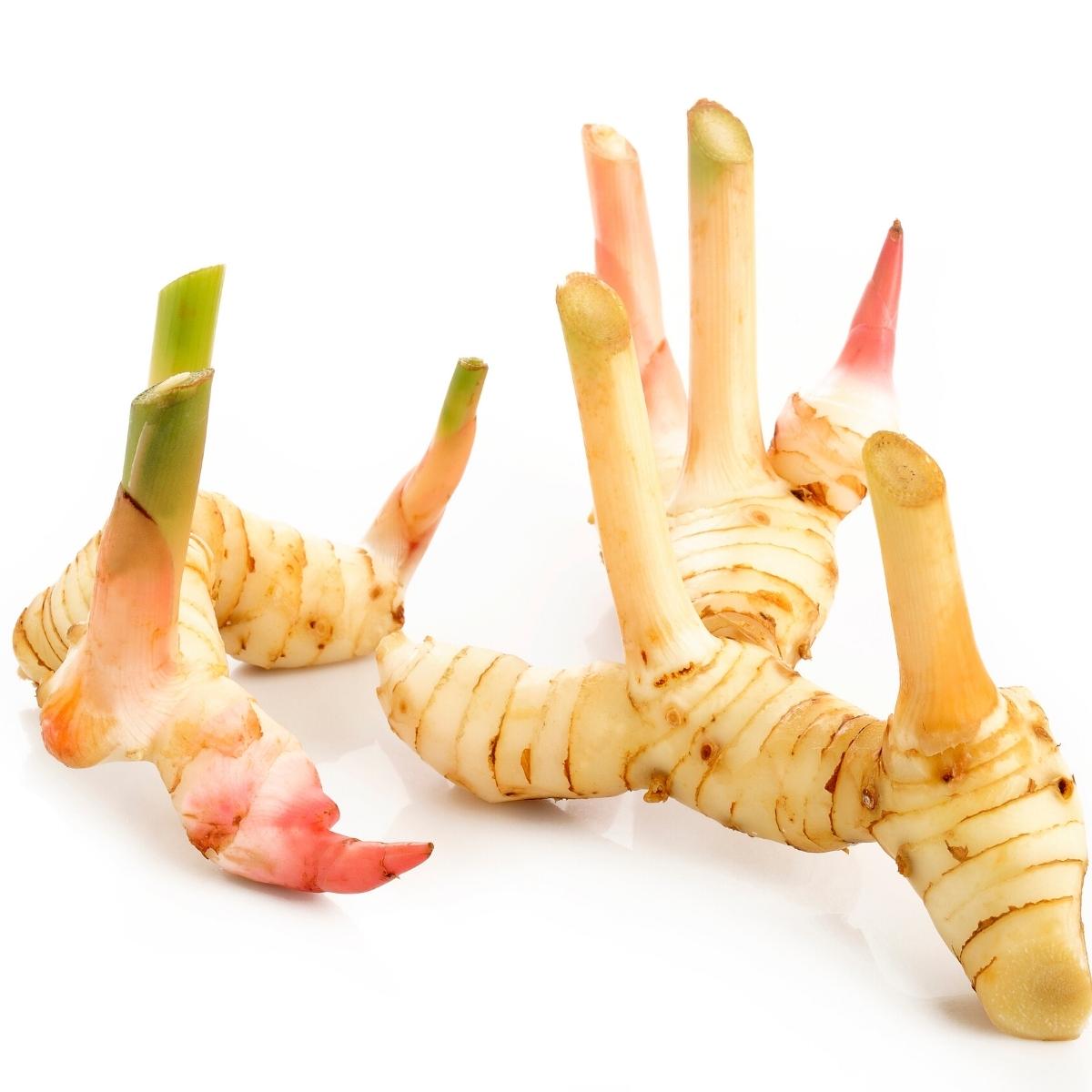 Fresh galangal root.