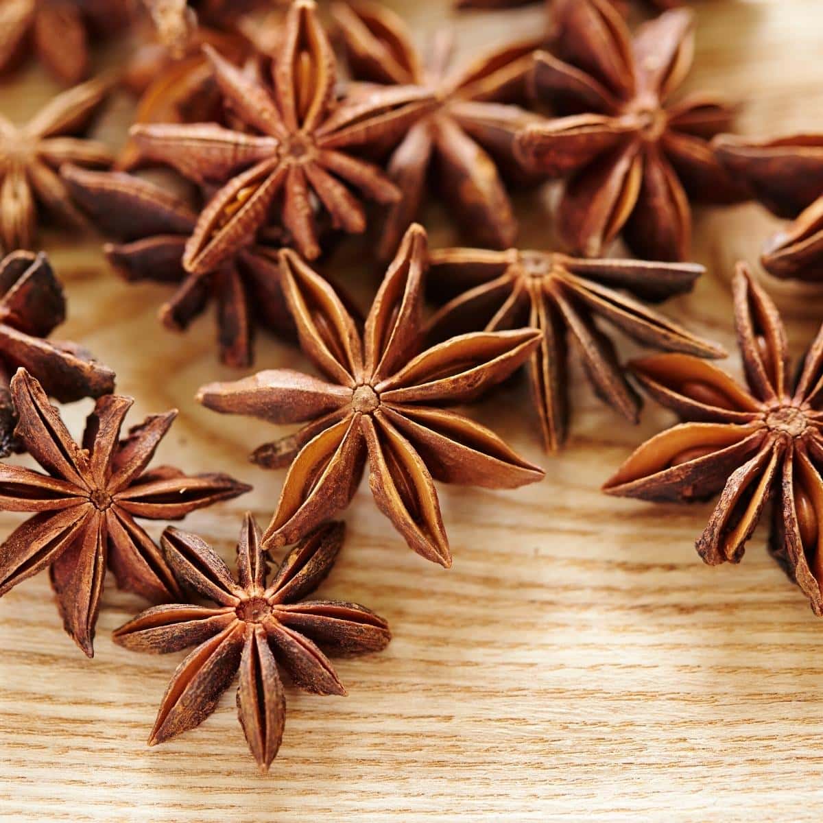 Close shot of star anise pods.