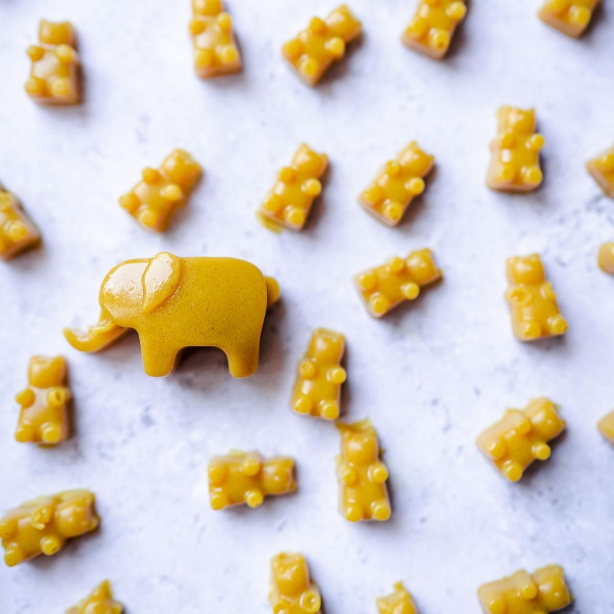 Close shot of a yellow elephant gummy and several yellow gummy bears.