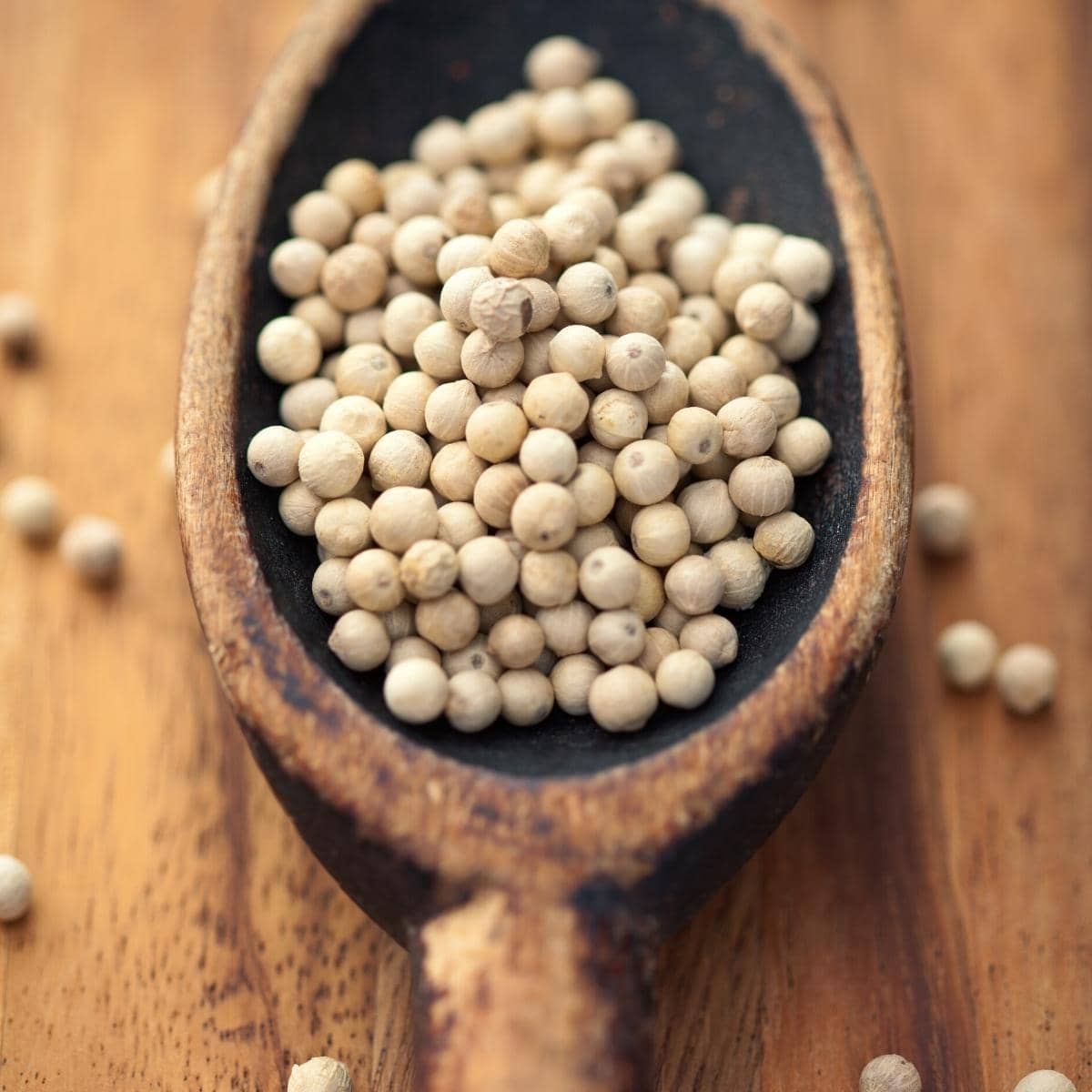 A wooden spoon filled with round white peppercorns.