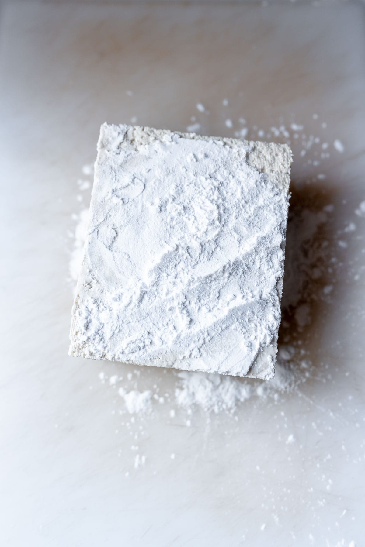 A white block of tofu dusted with flour.