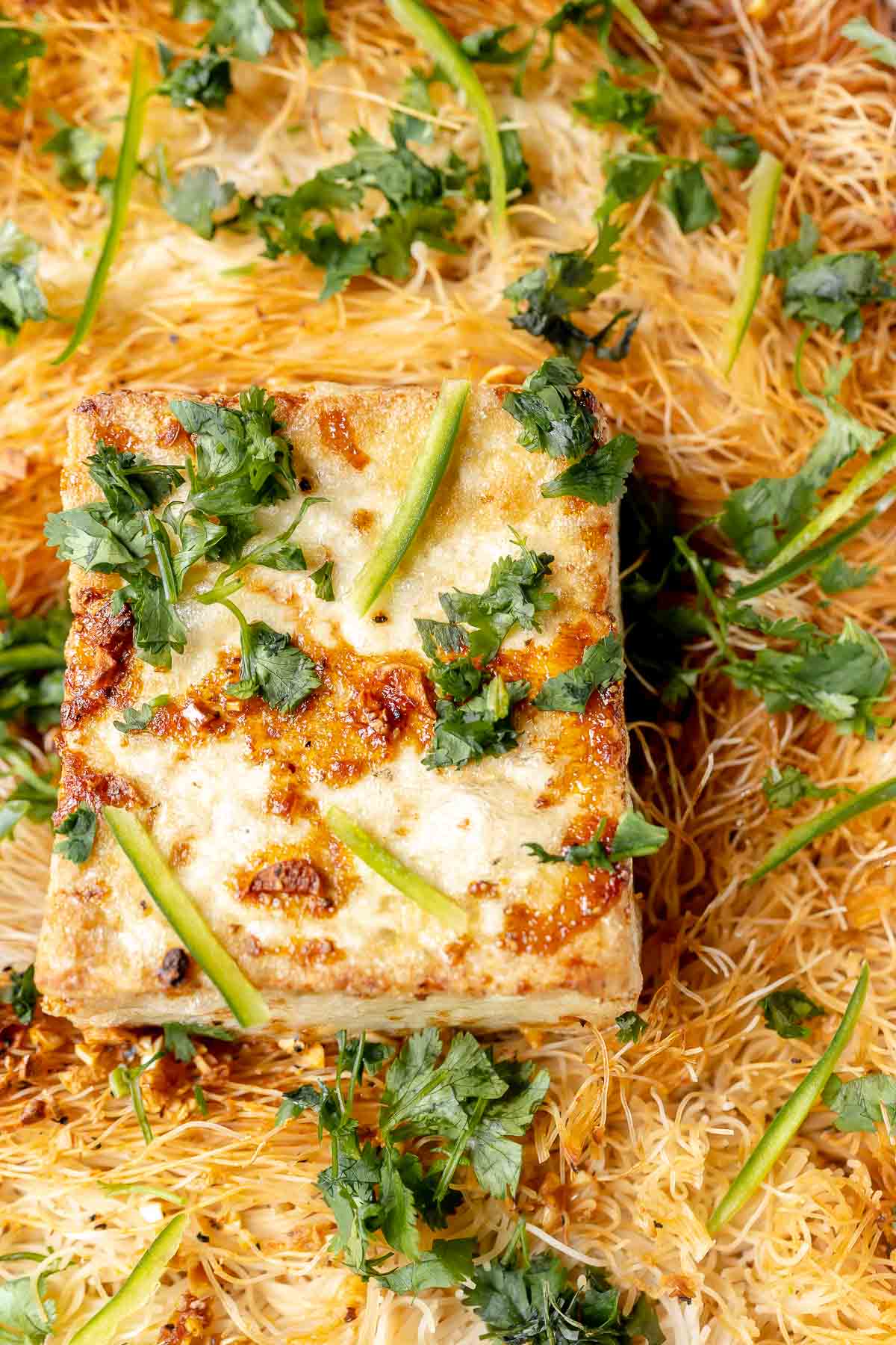 A block of white tofu topped with fresh cilantro, resting on a bed of thin cooked noodles.