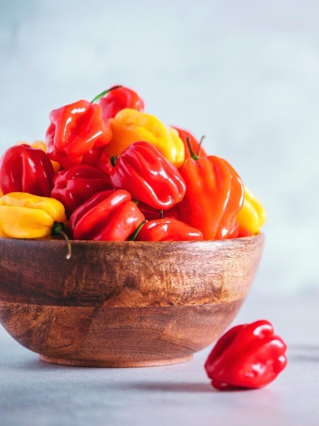 All You Need To Know About Scotch Bonnet Peppers