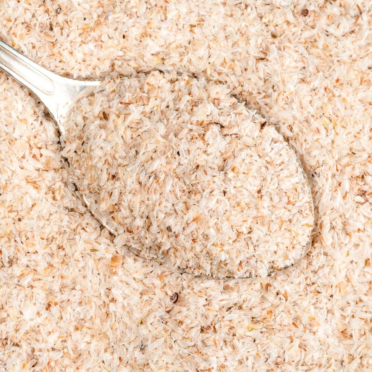 A close shot of a silver spoon scooping psyllium husk.