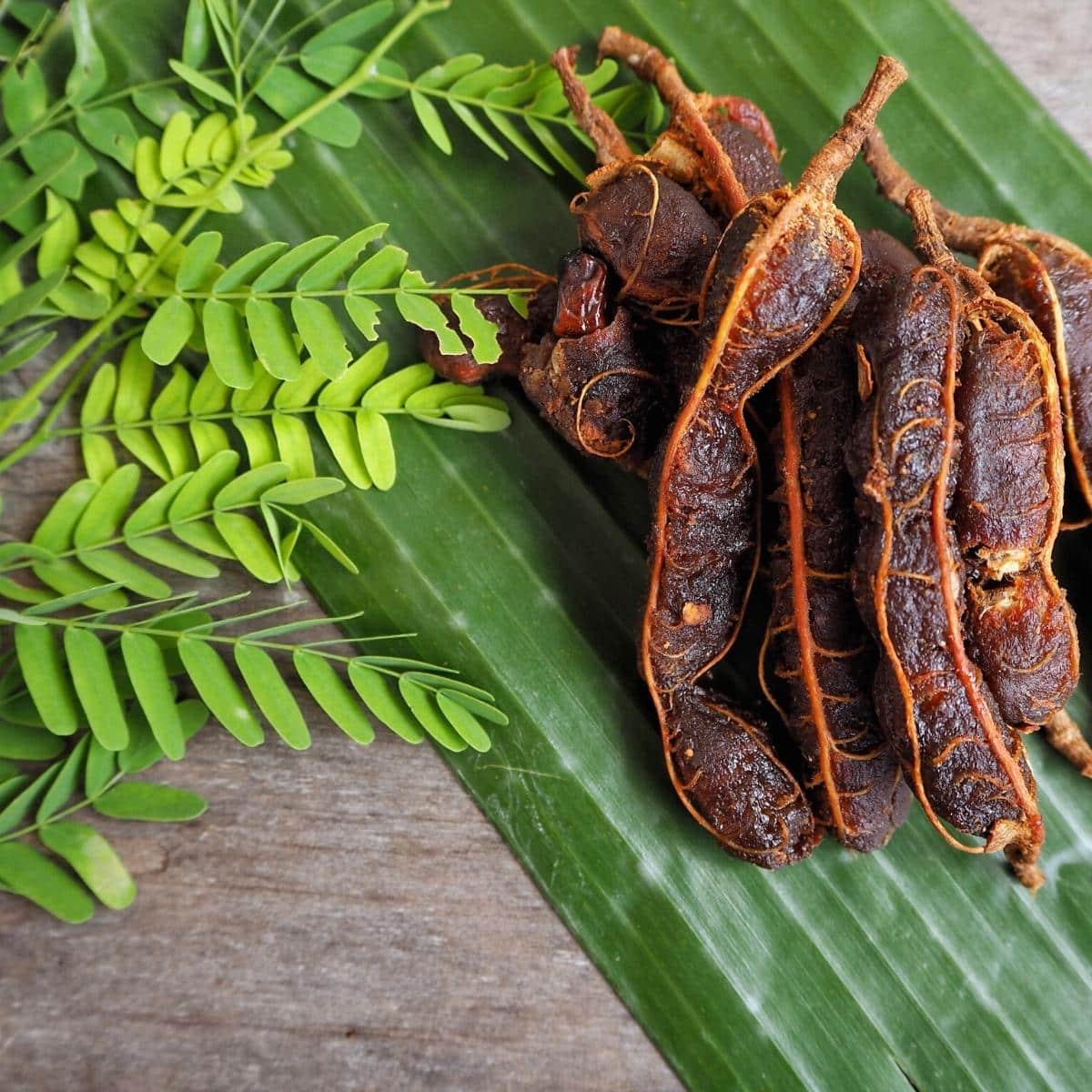 Raw tamarind fruit and tamarind leaves resting on a wooden table.