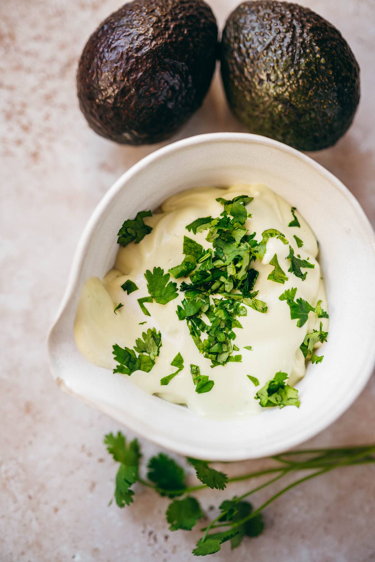 A white ceramic bowl filled with avocado lime crema resting on a table with fresh cilantro and avocadoes.