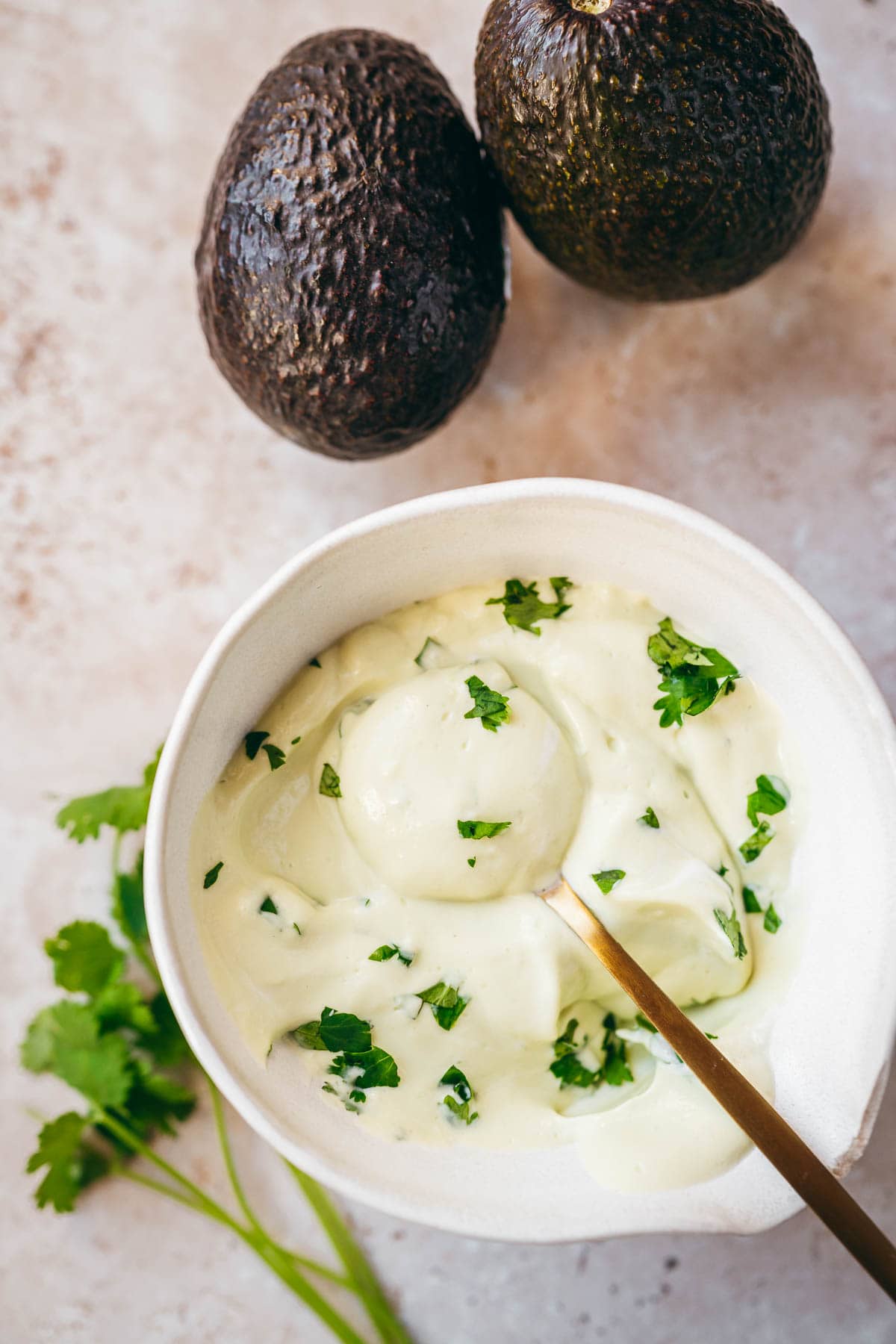Freshly made avocado crema garnished with cilantro in a white ceramic bowl with a golden spoon.