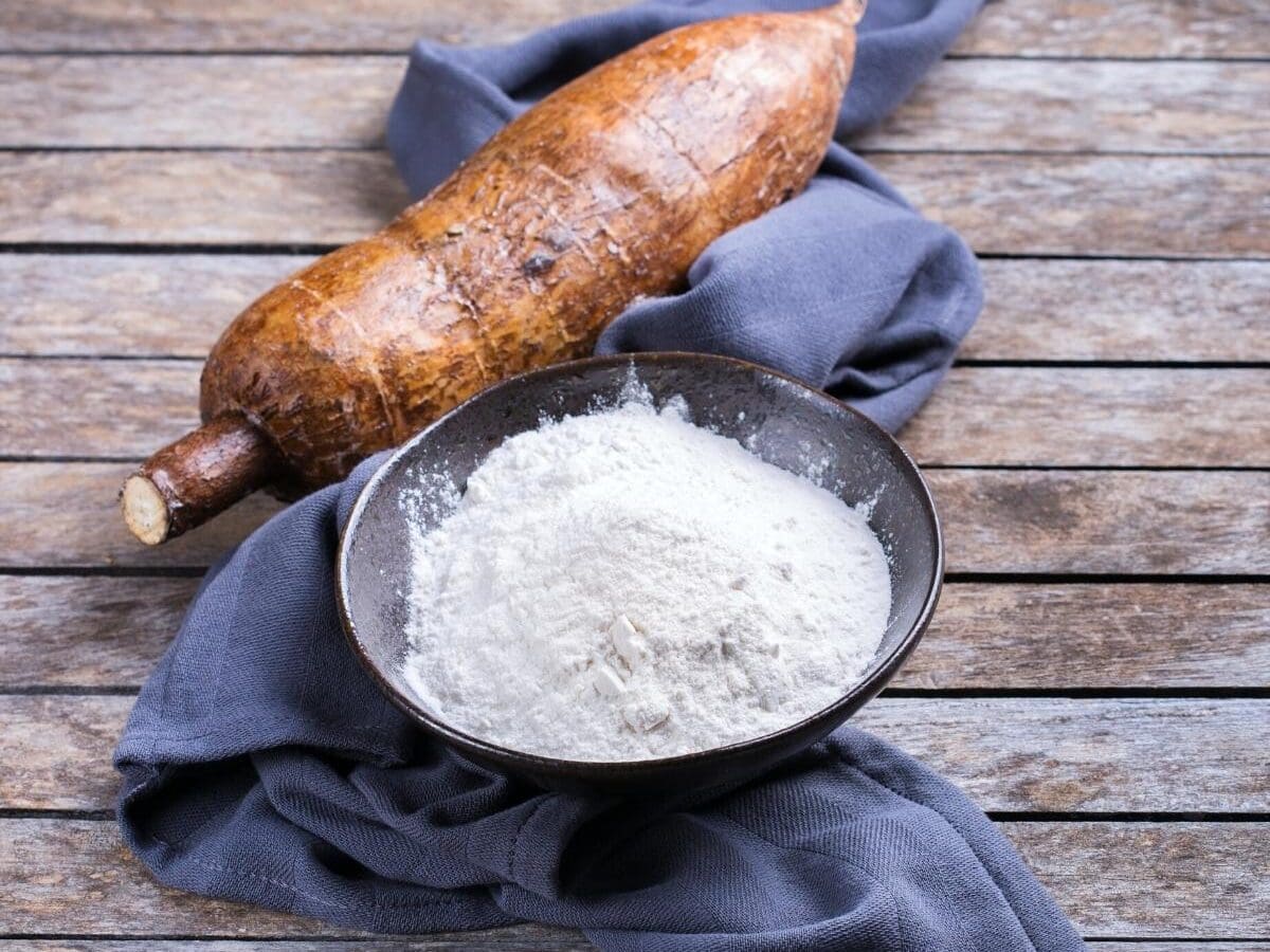What can cassava be processed into?_Blog