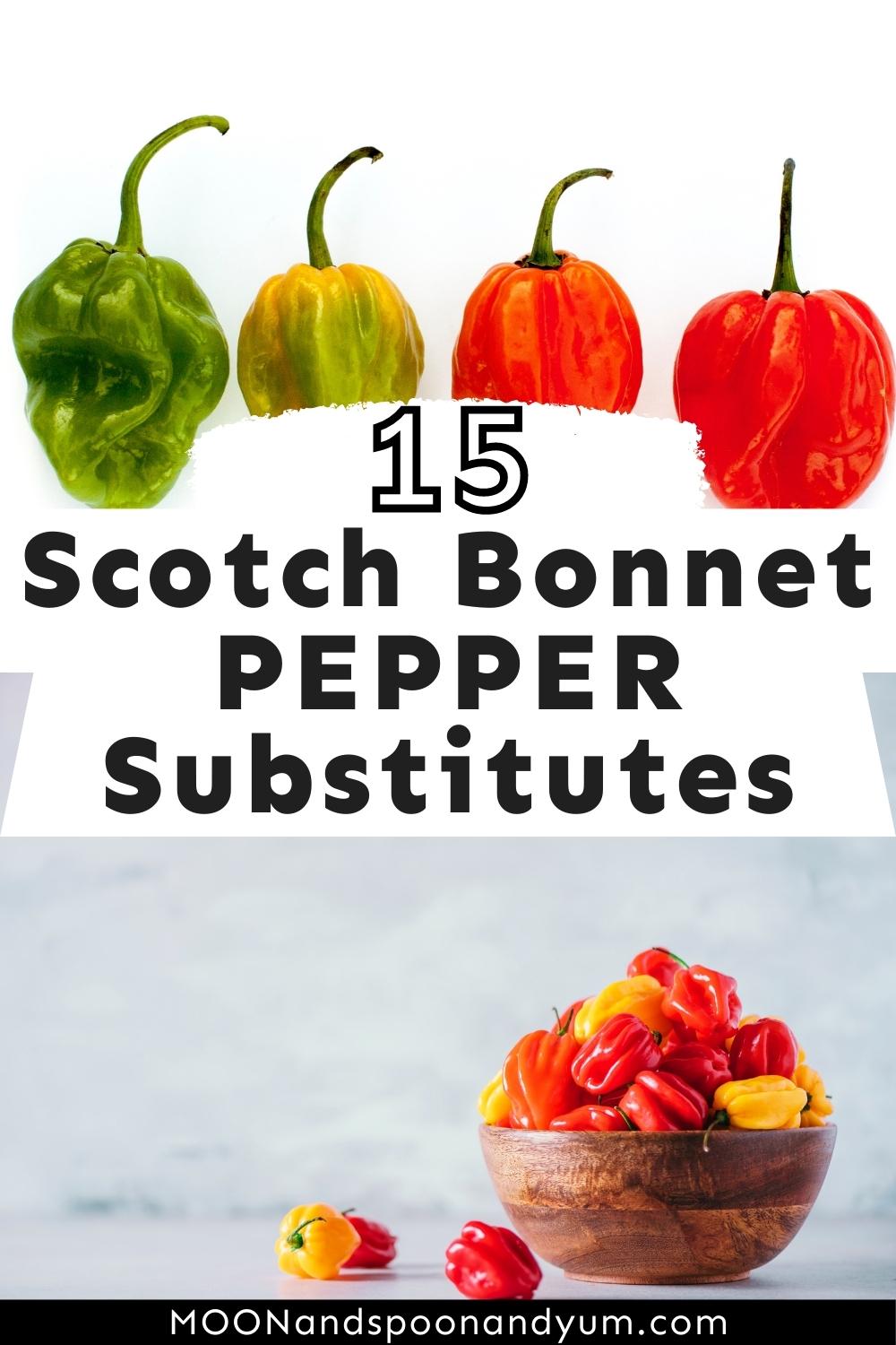 15 Best Scotch Pepper Substitutes