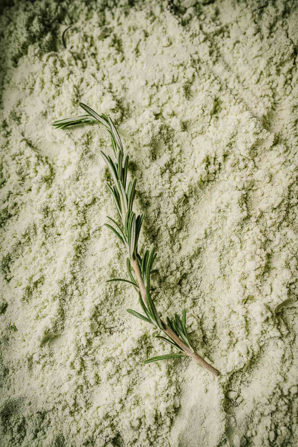 Close shot of a fresh sprig of rosemary resting on green rosemary salt.