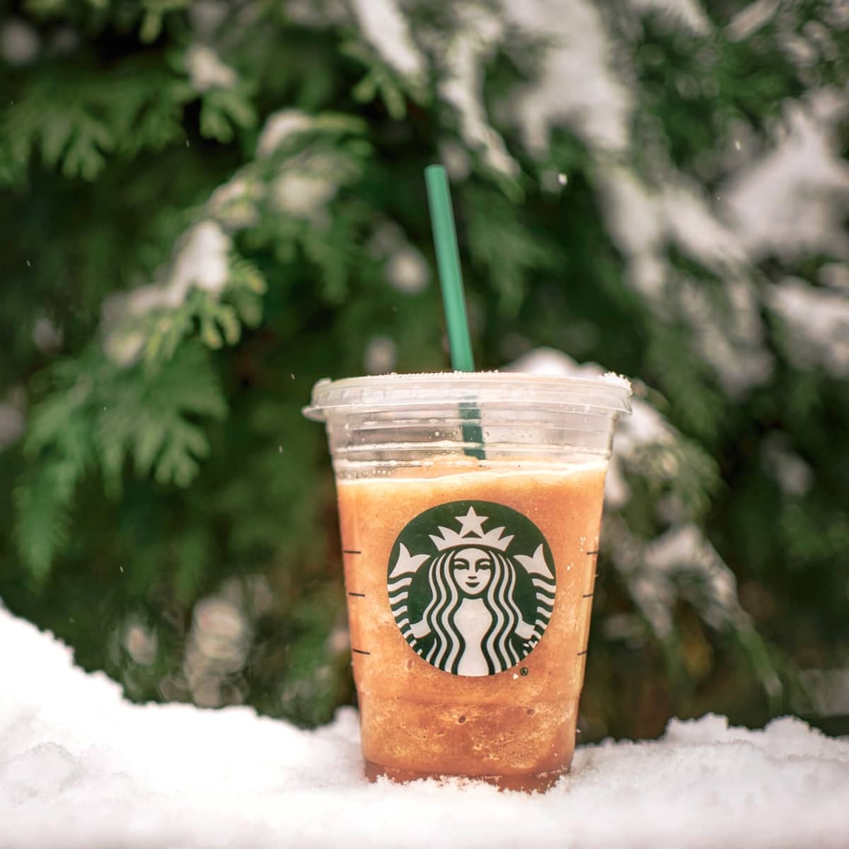 An iced Starbucks drink sitting in the snow.