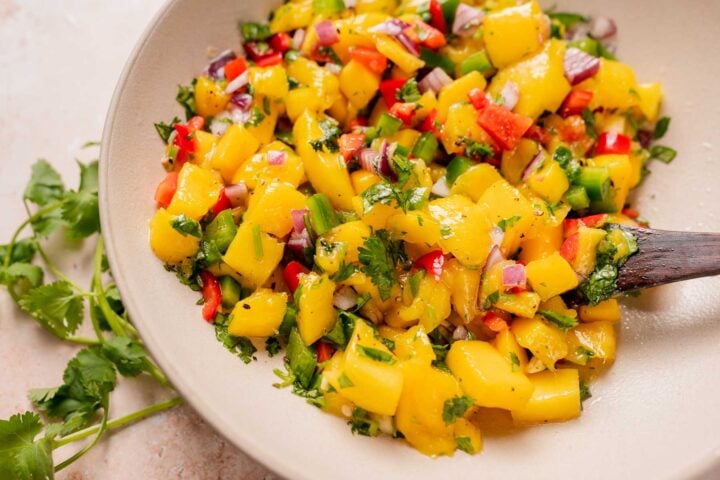 Easy Mango Salsa Recipe - MOON and spoon and yum