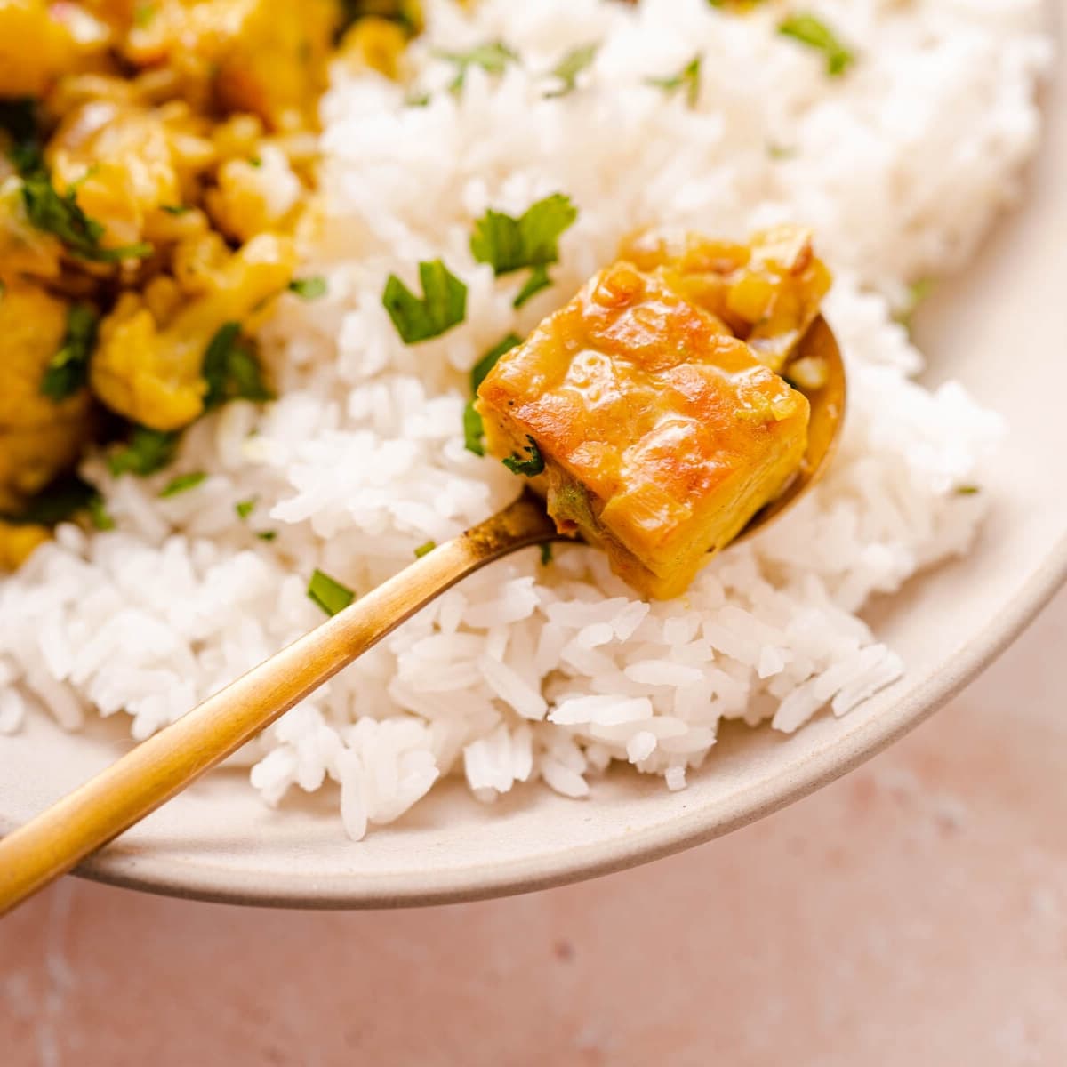 Close shot of a golden spoon with a cube of tempeh.