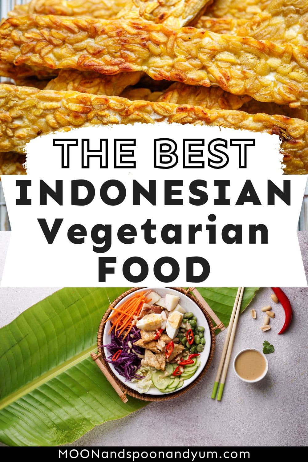 Best Indonesian Vegetarian Food MOON and spoon and yum