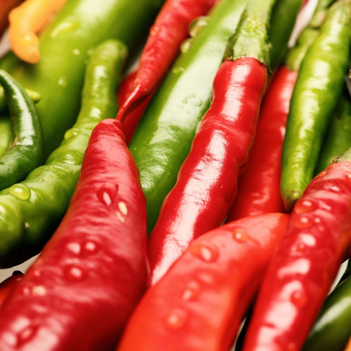 A close shot of various red and green peppers.
