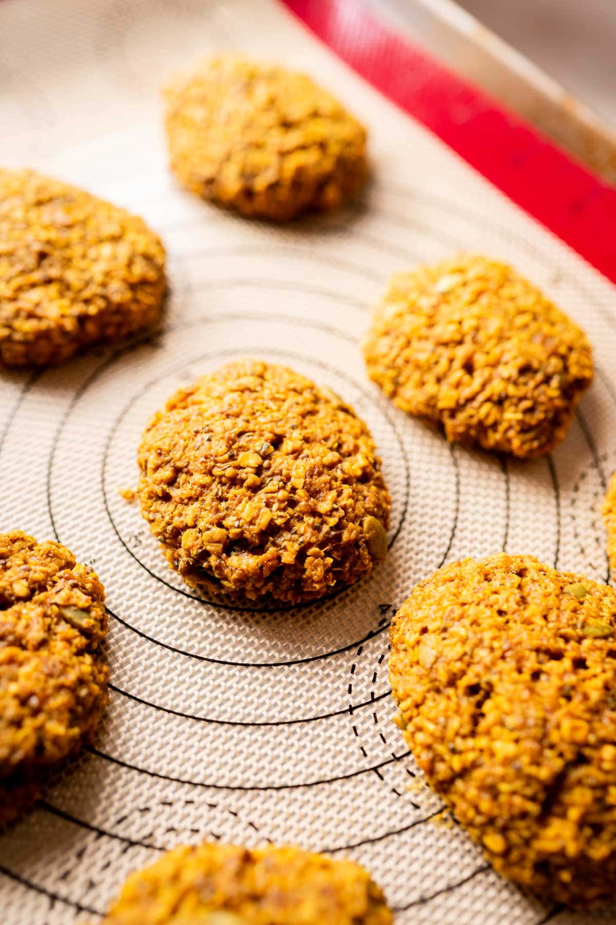 A tray of golden cookies on a baking sheet.