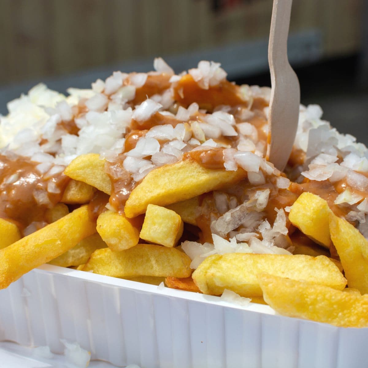 A plate of vegetarian fries with Dutch gravy and a fork.