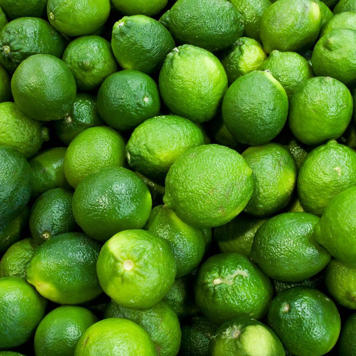 A bunch of green limes are piled up in a pile.
