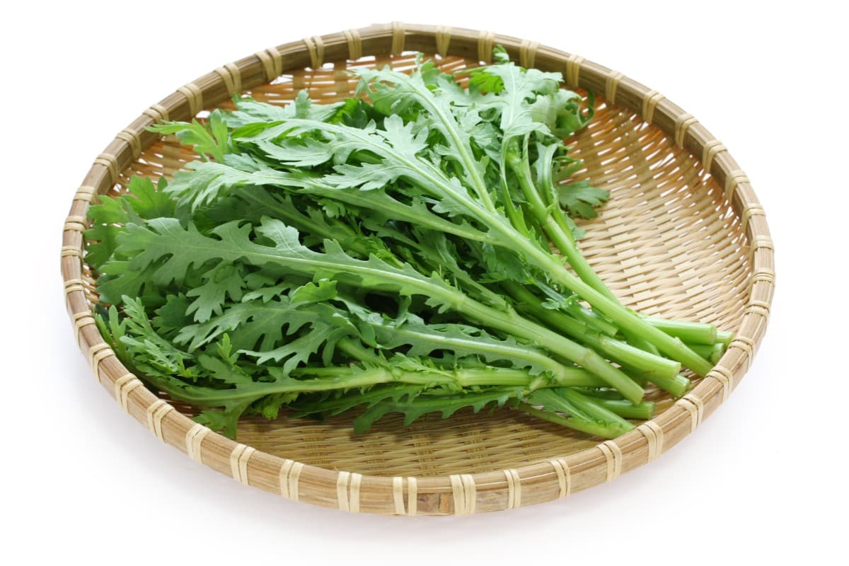 Kale in a wicker basket on a white background.