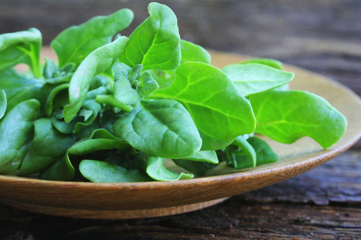 Spinach leaves in a wooden bowl on a wooden table.