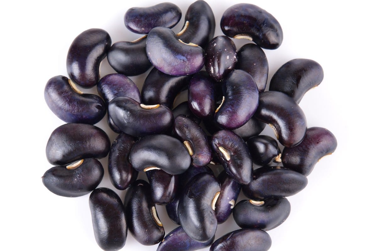 A pile of black beans on a white background.