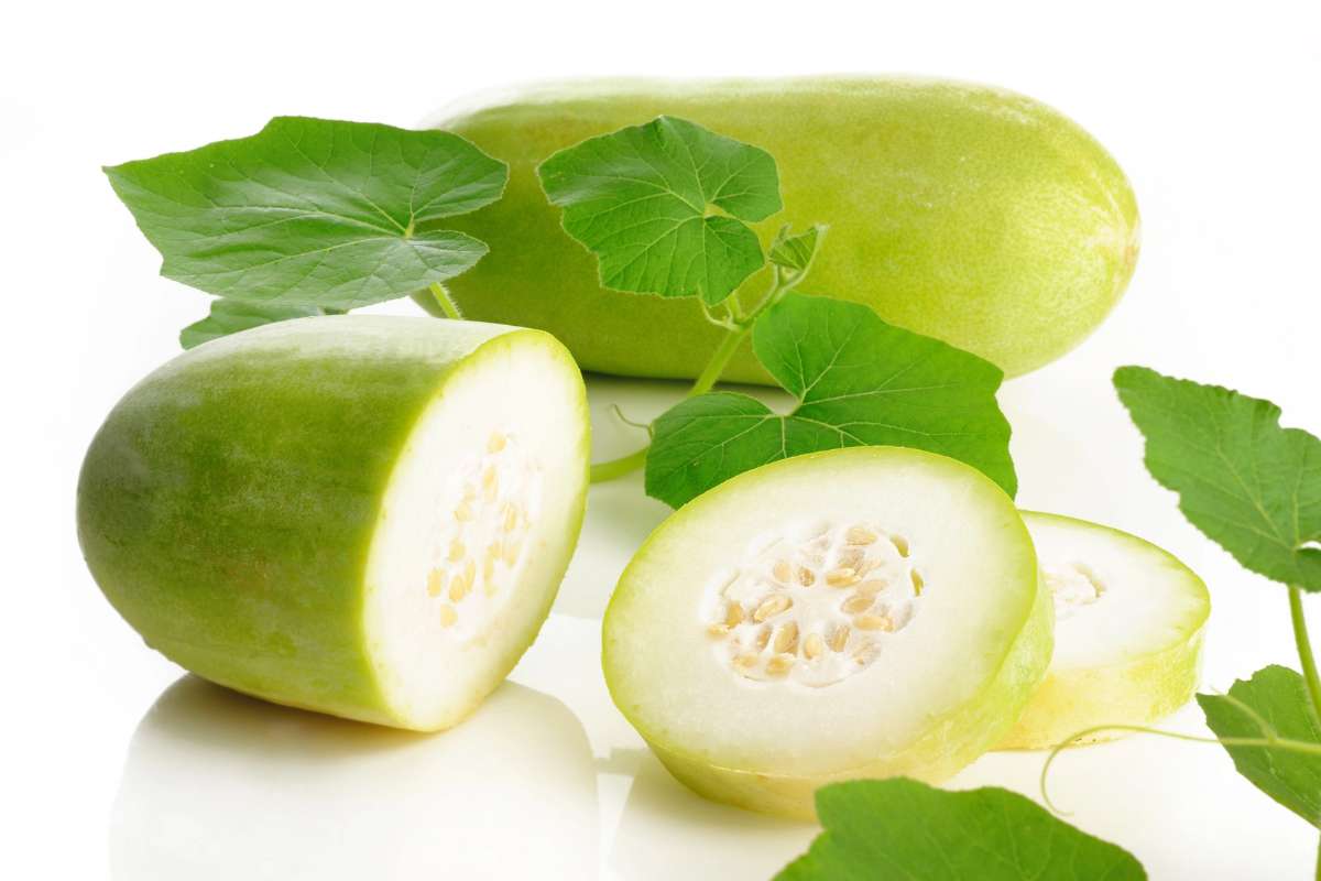 A green melon with leaves on a white background.