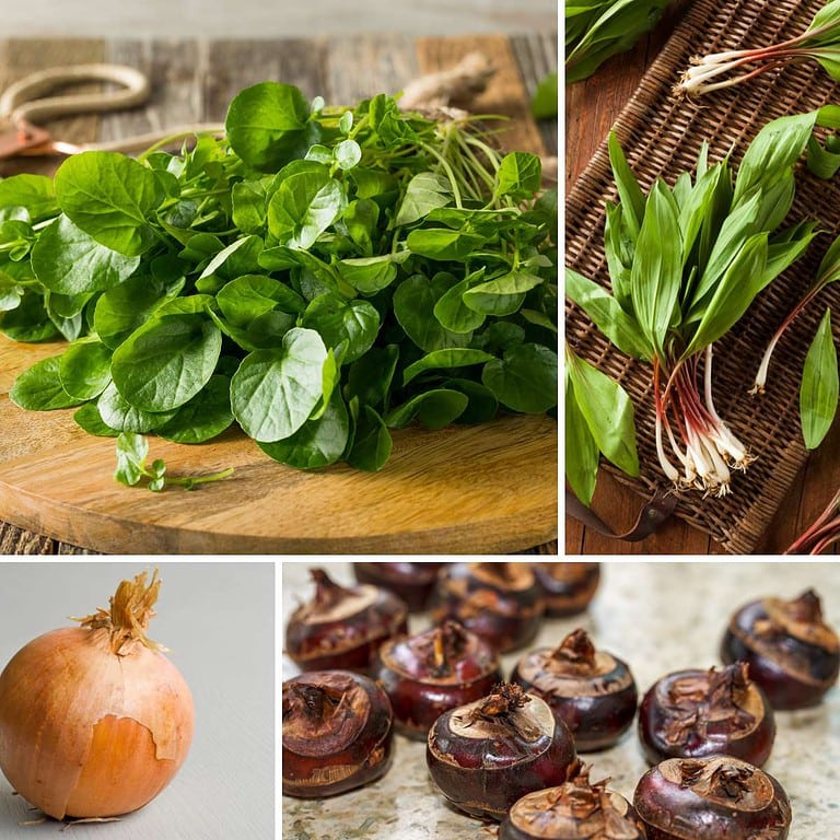 20 Vegetables That Start With W