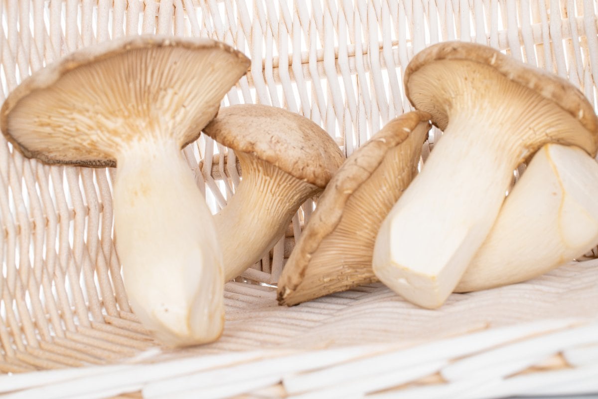 Three mushrooms in a wicker basket on a white background.