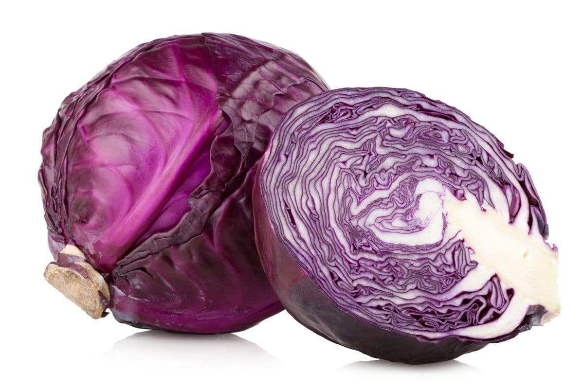 Two purple cabbages on a white background.