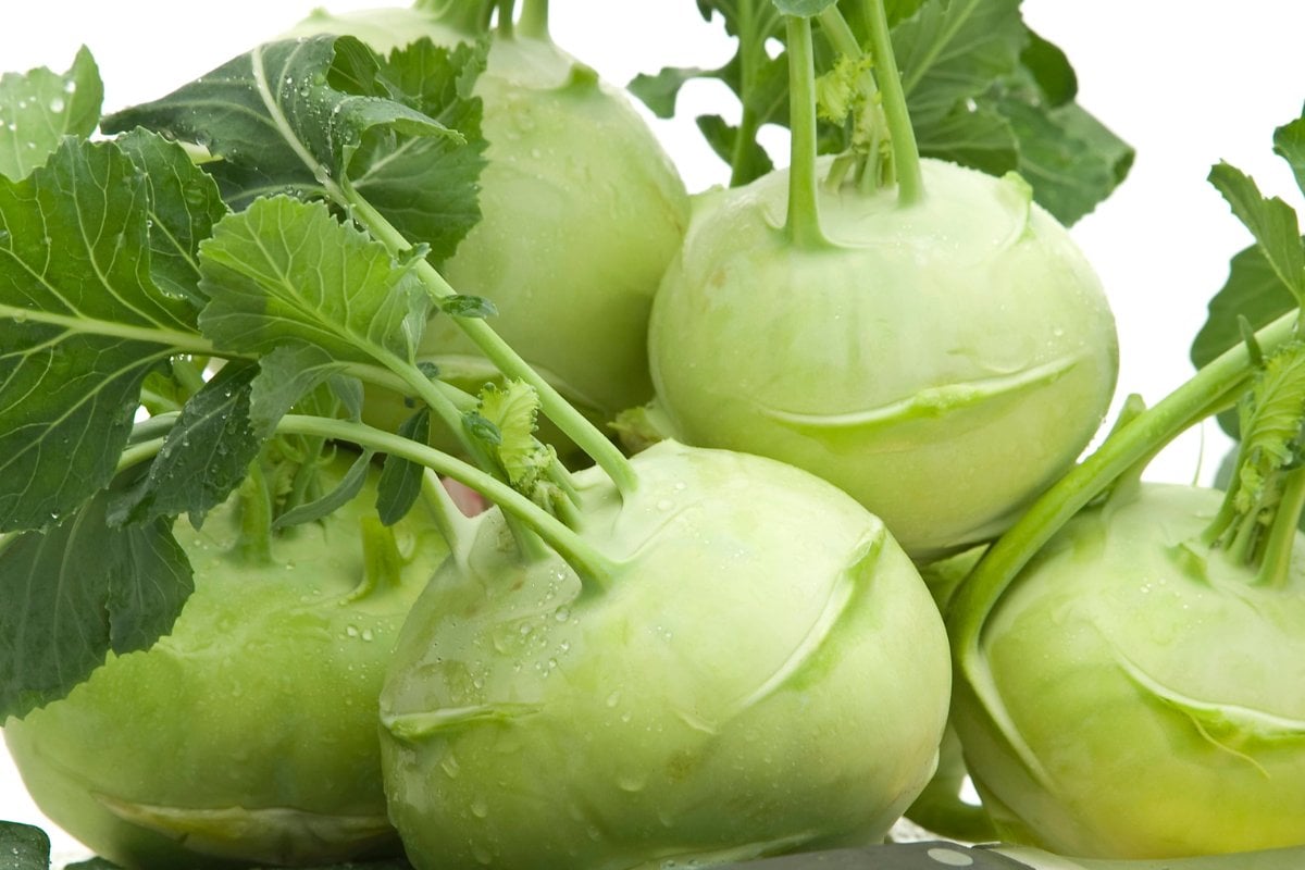 A group of kohlrabi with leaves.