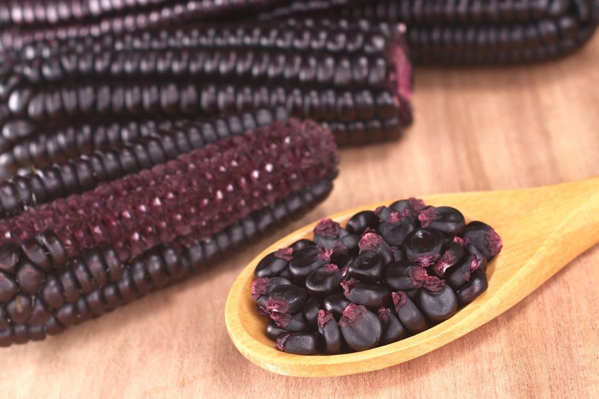 A spoon full of black corn on a wooden table.