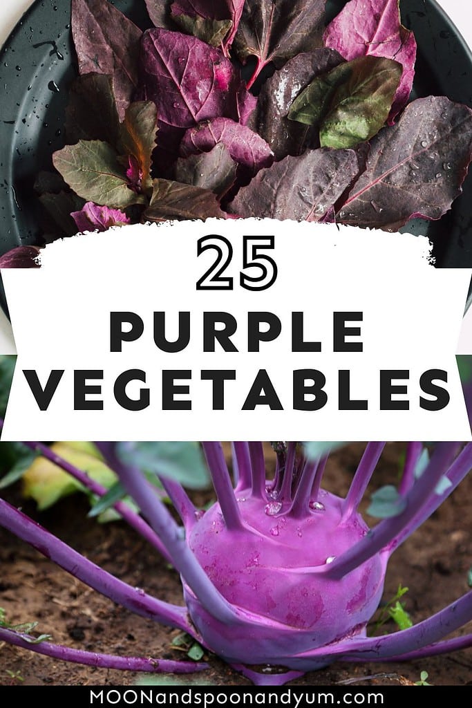 25 purple vegetables to grow in your garden.