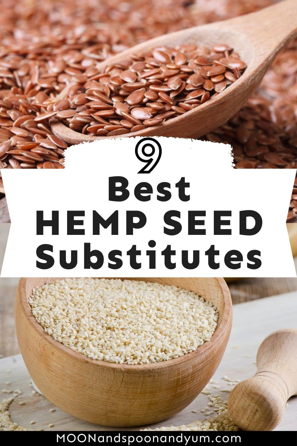 9 Best Hemp Seed Substitutes MOON and spoon and yum