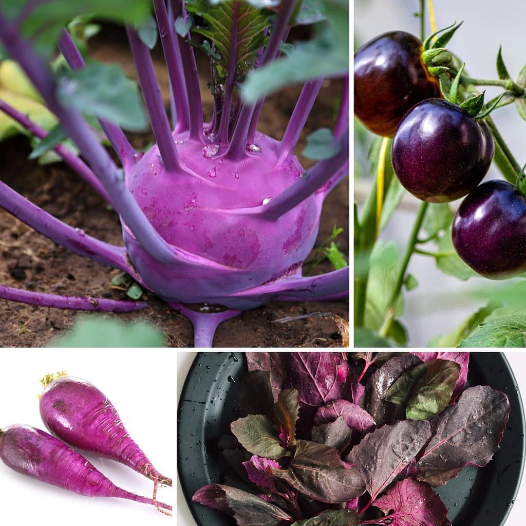 A collage of pictures of purple vegetables.