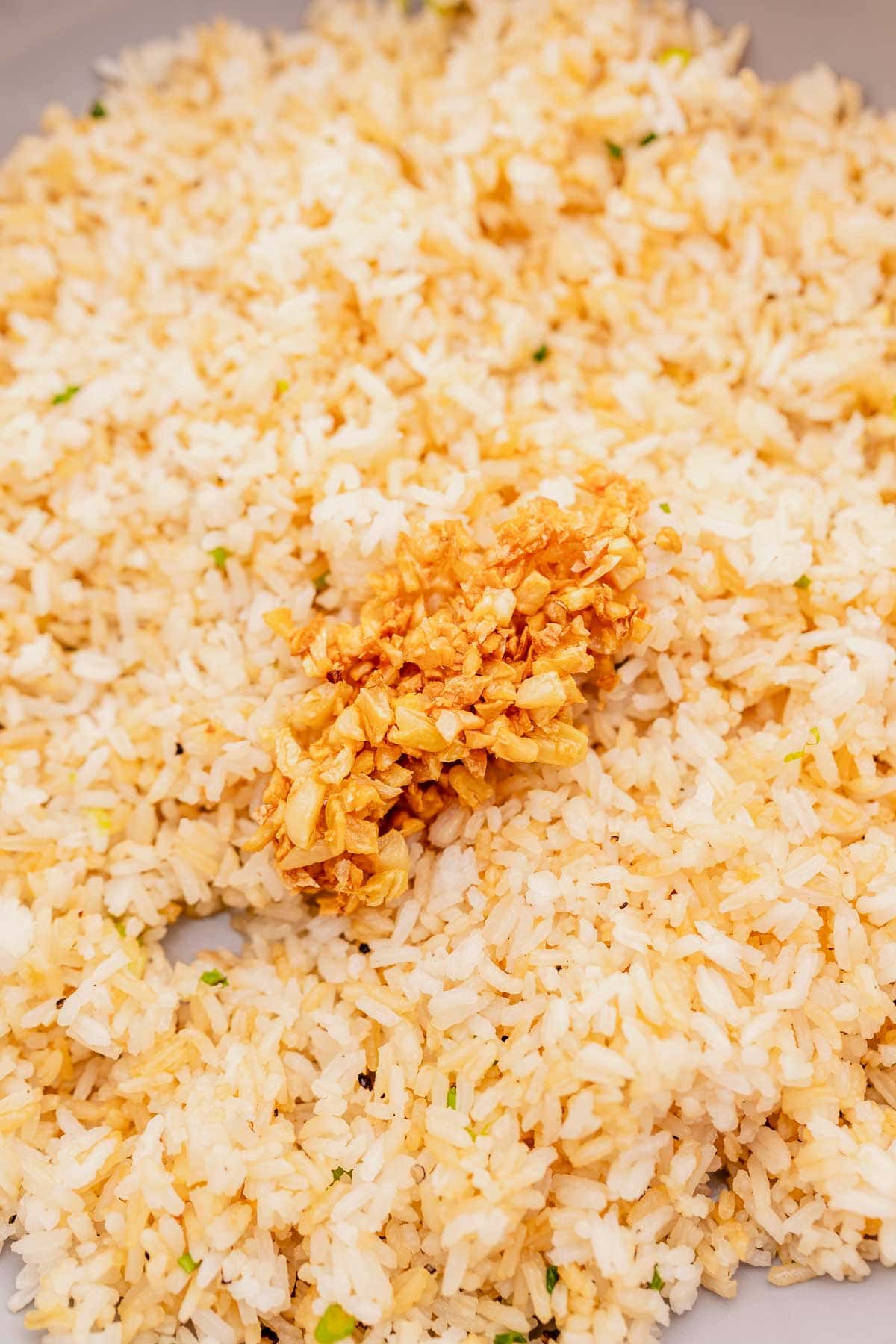 A close-up of garlic fried rice with a small garnish of crispy fried garlic on top.