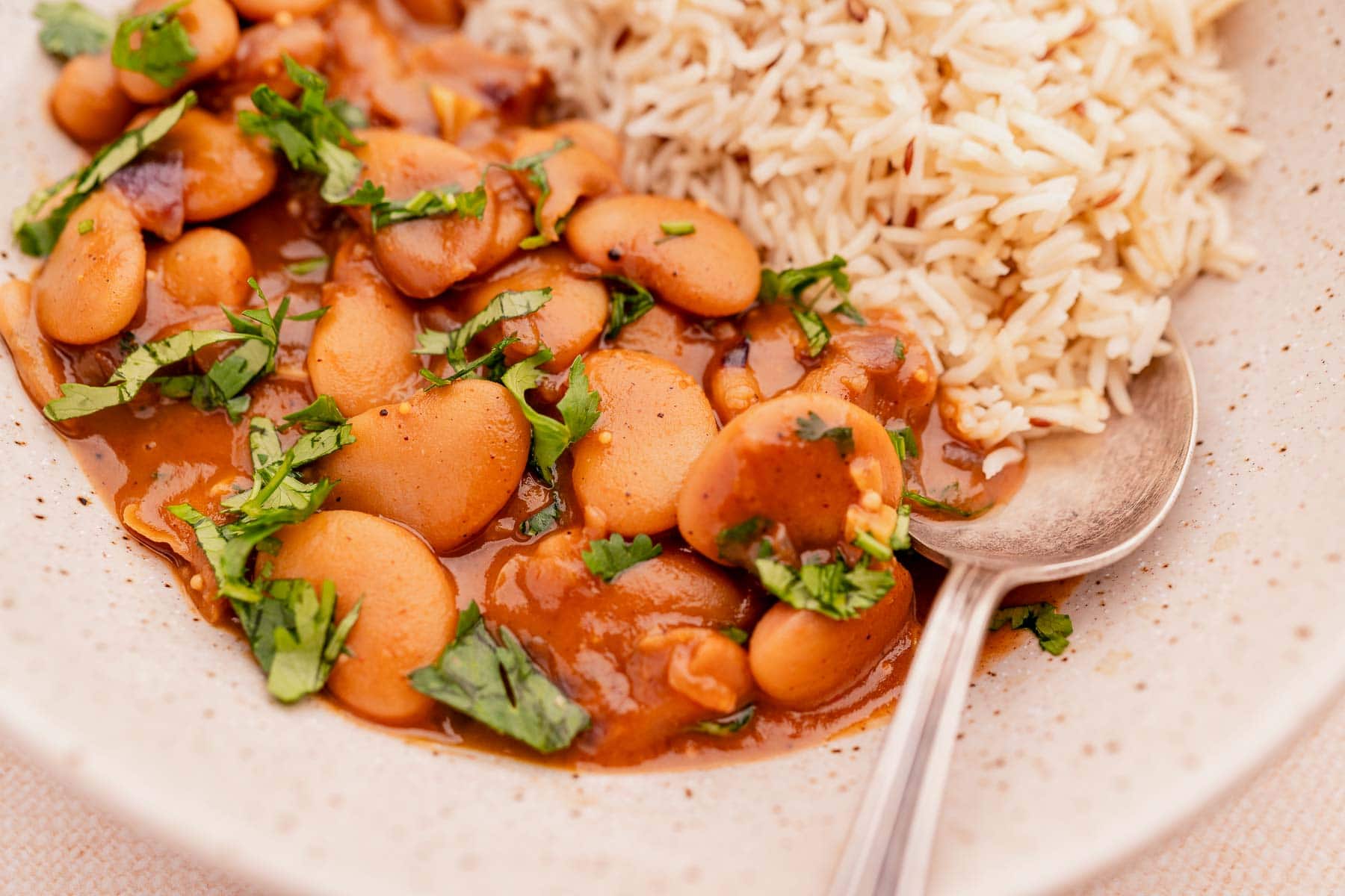 A close shot of a tan bowl filled with rice and bean curry.